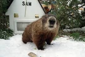 The events start at 7:00 am with shubenacadie sam making his appearance and prediction at 8:00 am. What Will Shubenacadie Sam See More Winter Early Spring Blog Magic 94 9