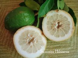 Image result for Citrus medica