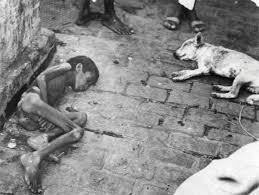 Image result for holocaust photos