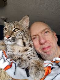 Bobcats have returned to many places in Ohio where they were previously  nonexistent.