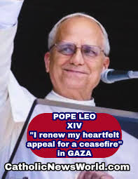 Daniel Imparato's Instagram, Twitter & Facebook