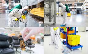 This list will help you pick the right get matched with top pest exterminators in dallas, tx. Al Manama Pest Control Dubai Best Pest Control In Dubai Pest Control Service Dubai