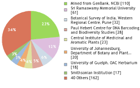 Image result for Terminalia sericea ×  trichopoda