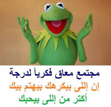 pin by majida naboulsi on ضفدع funny words funny jokes funny pictures
