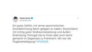 Taube crasht match zwischen deutschland und portugal: Mzvagellckrdwm