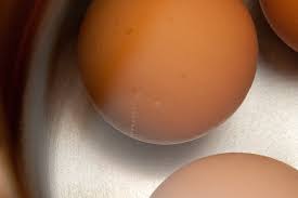 Eggs And Air Bubbles Investigations