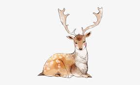 Watercolor Deer Antlers Png Banner Black And White Transparent Deer Png Image Transparent Png Free Download On Seekpng Polish your personal project or design with these transparent background transparent png images, make it even more personalized and more attractive. watercolor deer antlers png banner
