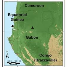 Image result for Monanthotaxis orophila