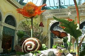 Beautiful No Cost Exhibit Review Of Bellagio Conservatory Botanical Garden Las Vegas Nv Tripadvisor