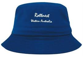 Promo Hats Http Www Dalixtrading Com Promotional Caps Hats If You Want To Buy A Stylish Best Promo Hat To Double Your Style Then Visit Caps Hats Hats Cap