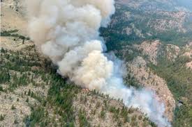 Wildfires, including grassland fires and forest fires, are an ongoing concern where there is dry, hot weather. Wildfire Prompts Power Interruption Between Oliver And Osoyoos Kelowna Capital News