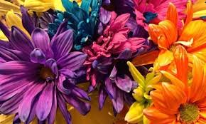 The active players of the puzzleit community contribute by adding dozens of pictures. Colorful Flowers Friday S Free Jigsaw Puzzle Play Free Daily Jigsaw Puzzles From Jigsawaday Free Jigsaw Puzzles Colorful Flowers Flower Pictures