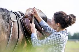 Girth Aversion (Girthiness) in Horses – Causes & Remedies | Mad Barn