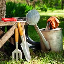 Buy gardening supplies online india. Best Plant Nursery Online Garden Store Plants Home Delivery