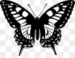 scarce swallowtail png and scarce swallowtail transparent clipart free download cleanpng kisspng clean png