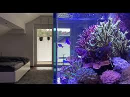 Schlafzimmer aquarium ist unter den bildern, die wir im internet entdeckt aus zuverlässigen quellen. German Reef Tanks Meerwasseraquarium Im Schlafzimmer Ultra Hd Reeftank Aquarium Salzwasser Youtube