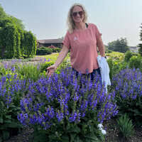 Image result for Vernonia turbinella