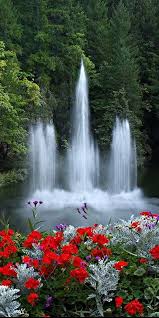 79 Backyard Landscaping Canada Beautiful 31 Cityofskies Com Gardenflower Frontgarde Beautiful Photography Nature Beautiful Nature Pictures Beautiful Nature