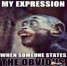 Unequivocally, one of the best animals on the planet is the monkey. The Funniest Thing About This Picture Is That Erik Makes The Exact Same Face When People Say Stupid Things Haha Monkeys Funny Laughing So Hard Funny Quotes