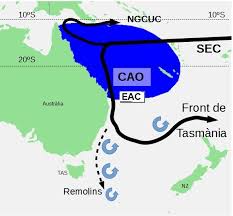 This current is strongest in winter when it has been recorded travelling south, rounding the southern coast and travelling. East Australian Current Wikidata