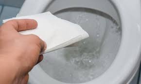 Pull out 4 sheets worth of toilet paper and tear at perforation. How To Use Toilet Paper Properly