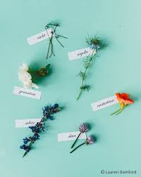 This edible flower list gives you some ideas about the wide variety of flowers that can safely be consumed. How To Use Edible Flowers To Decorate Cakes Flowers To Use And Ideas