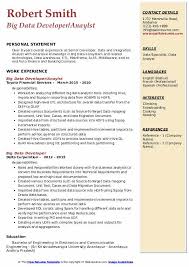 big data developer resume samples