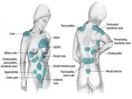 Pin On Lower Back Pain