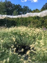 Retrospective Chaumont 2019 Jardin De Chaumont Jardins Et Loire