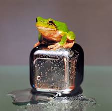 Shop today & save big! Esta Imagen No Es Una Fotografia