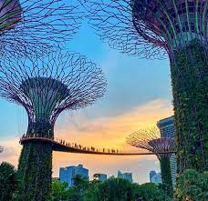 Meski negara ini tergolong kecil, beberapa lokasi dapat dikunjungi sebagai tujuan wisata. 5 Tempat Wisata Gratis Di Singapura Wajib Kamu Kunjungi
