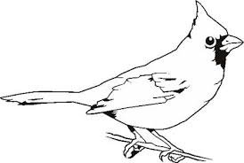 Cardinal Bird Outline Drawing Clipart Free Clip Art Images Ywtdm6 Clipart Jpg 445 300 Bird Outline Cardinal Birds Black And White Birds