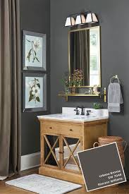 I am having the best time in the. Urbane Bronze Paint Sherwin Williams Novocom Top