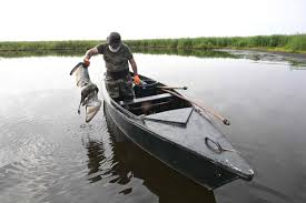 Photo  Un crve-c?ur  : des milliers d'oiseaux victimes du botulisme ...