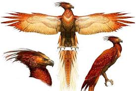 In order to see those birds, you need to climb a bit down. Fawkes The Phoenix Concept Artwork Hayvan Cizimler Hayvanlar