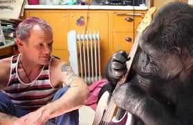 Коко хекматьяр / koko hekmatyar. Remembering Koko Whose Friends Included Flea Peter Gabriel And Sting Local Current Blog The Current From Minnesota Public Radio