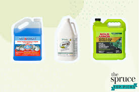 The 7 Best Mold Removers Of 2021