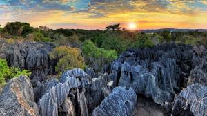 Visit the top tourist attractions in. Madagascar Travel The Pinnacle Of Wildlife Tourism