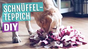 Wie komme ich zum hauptbahnhof? 4 Coole Diy Ideen Hund Drinnen Geistig Beschaftigen Youtube