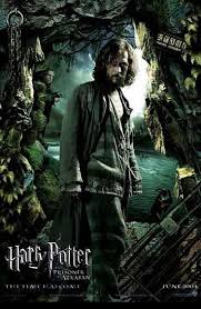 Harry potter is a film series based on the eponymous novels by j. Harry Potter Movie Posters Harry Potter Fan Zone