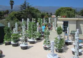 Made from a usda approved food grade plastic, that is also opaque (to inhibit algae growth inside) and double uv protected. Chapala Gardens Future Growing Llc