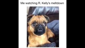 8.4k 3 3 0 @lilgeorge couples. R Kelly Memes Of The Week Youtube
