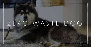 These machines use capsules or pods with ground coffee inside them. Zero Waste Dog Care A Tail Wagging Guide To Keeping Paws Off Plastic