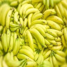 Alibaba.com offers 5,236 fresh cavendish banana products. High Quality Fresh Green Cavendish Banana