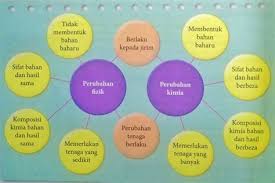 3 mengasing dan mengumpul objek berdasarkan ciri sepunya dan berbeza. Perbezaan Sains Hayat Dan Sains Fizikal Miss 1826 Kongsi Ke Twitter Kongsi Ke Facebook Kongsi Ke Pinterest