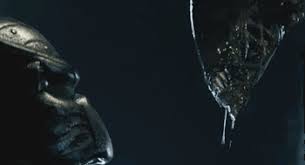 Relevant newest # movies # dutch # arnold schwarzenegger # predator # dillon # predator # alien vs predator # arnold schwarzenegger # predator # fox home entertainment # fox films # predator series # predator # gun # arnold. Alien Vs Predator Primelight