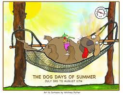 Check spelling or type a new query. Shoreline Area News Cartoon By Whitney Potter Dog Days Of Summer