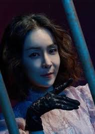 A story about a doctor who was fired by a hospital he used to work for and returns to take revenge and overtake said hospital by registering himself as a prisoner doctor. Doctor Prisoner Tvmaze