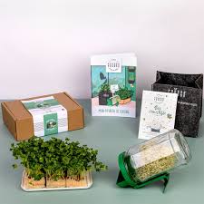 Les box à cuisiner cartonnent ! Les 250 Meilleures Box A Offrir Pour Noel 2021 En France