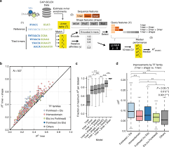 Dna, proteins, and mutations below are two partial sequences of dna bases. Mechanistic Insights Into Transcription Factor Cooperativity And Its Impact On Protein Phenotype Interactions Nature Communications